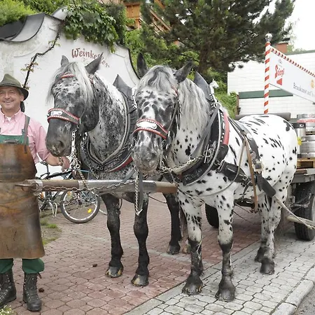 ホテル ガストホフ カムル 3*